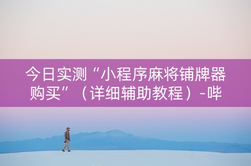 今日实测“小程序麻将铺牌器购买”（详细辅助教程）-哔哩哔哩