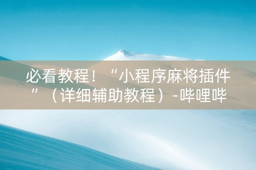 必看教程！“小程序麻将插件”（详细辅助教程）-哔哩哔哩