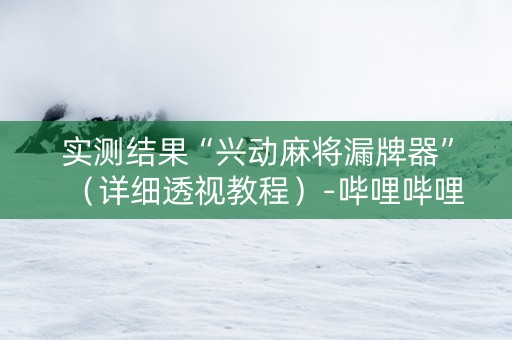 实测结果“兴动麻将漏牌器”（详细透视教程）-哔哩哔哩