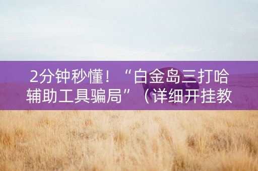 2分钟秒懂！“白金岛三打哈辅助工具骗局”（详细开挂教程）-哔哩哔哩