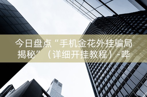 今日盘点“手机金花外挂骗局揭秘”（详细开挂教程）-哔哩哔哩