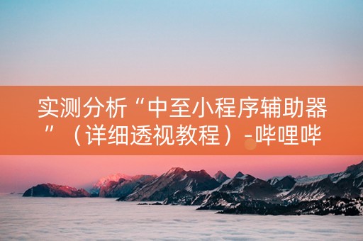 实测分析“中至小程序辅助器”（详细透视教程）-哔哩哔哩
