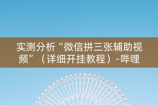 实测分析“微信拼三张辅助视频”（详细开挂教程）-哔哩哔哩