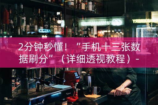 2分钟秒懂！“手机十三张数据刷分”（详细透视教程）-哔哩哔哩