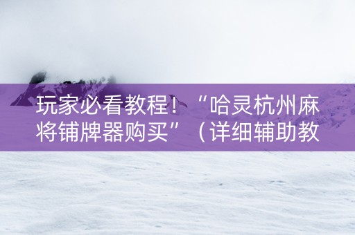 玩家必看教程！“哈灵杭州麻将铺牌器购买”（详细辅助教程）-哔哩哔哩