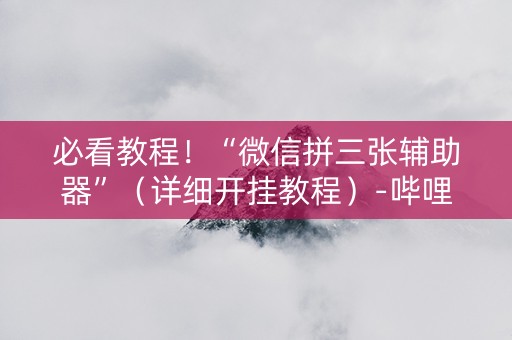 必看教程！“微信拼三张辅助器”（详细开挂教程）-哔哩哔哩