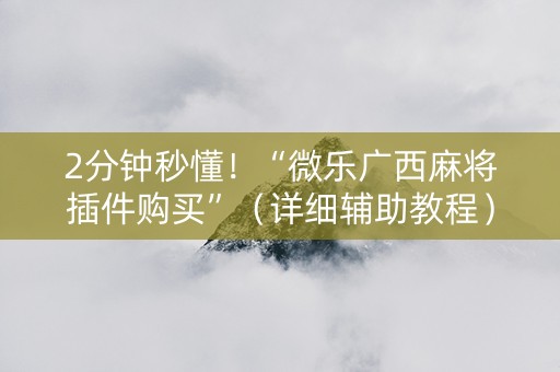 2分钟秒懂！“微乐广西麻将插件购买”（详细辅助教程）-哔哩哔哩
