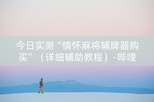 今日实测“情怀麻将辅牌器购买”（详细辅助教程）-哔哩哔哩