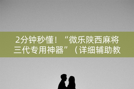 2分钟秒懂！“微乐陕西麻将三代专用神器”（详细辅助教程）-哔哩哔哩