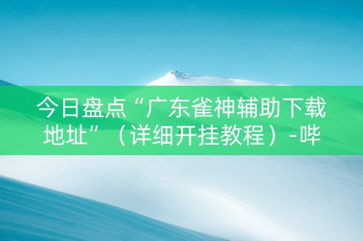 今日盘点“广东雀神辅助下载地址”（详细开挂教程）-哔哩哔哩
