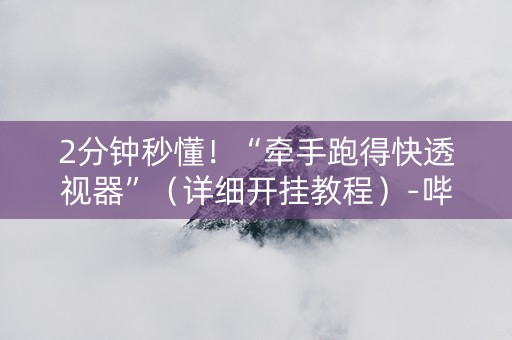 2分钟秒懂！“牵手跑得快透视器”（详细开挂教程）-哔哩哔哩