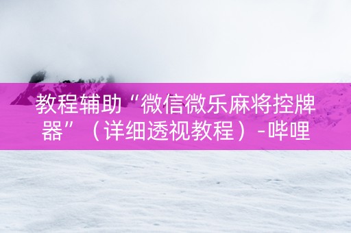 教程辅助“微信微乐麻将控牌器”（详细透视教程）-哔哩哔哩