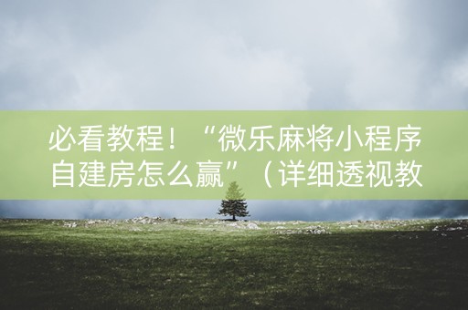 必看教程！“微乐麻将小程序自建房怎么赢”（详细透视教程）-哔哩哔哩