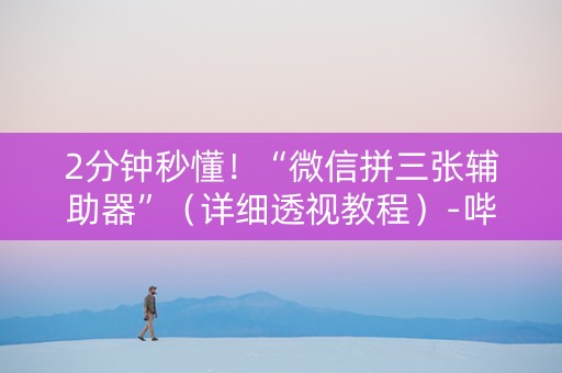 2分钟秒懂！“微信拼三张辅助器”（详细透视教程）-哔哩哔哩