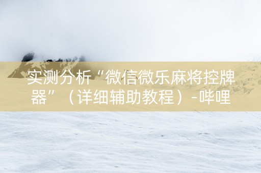 实测分析“微信微乐麻将控牌器”（详细辅助教程）-哔哩哔哩