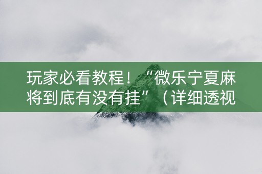 玩家必看教程！“微乐宁夏麻将到底有没有挂”（详细透视教程）-哔哩哔哩