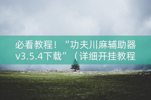 必看教程！“功夫川麻辅助器v3.5.4下载”（详细开挂教程）-哔哩哔哩