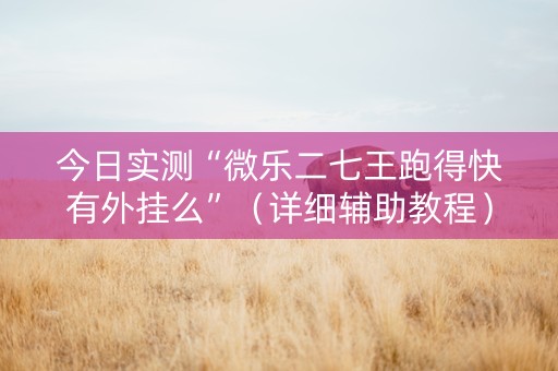 今日实测“微乐二七王跑得快有外挂么”（详细辅助教程）-哔哩哔哩