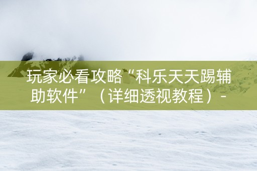 玩家必看攻略“科乐天天踢辅助软件”（详细透视教程）-哔哩哔哩