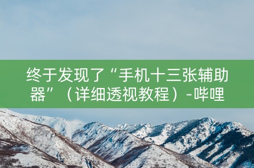 终于发现了“手机十三张辅助器”（详细透视教程）-哔哩哔哩