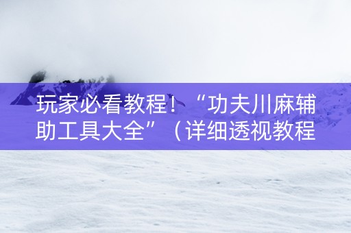 玩家必看教程！“功夫川麻辅助工具大全”（详细透视教程）-哔哩哔哩