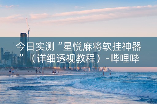 今日实测“星悦麻将软挂神器”（详细透视教程）-哔哩哔哩