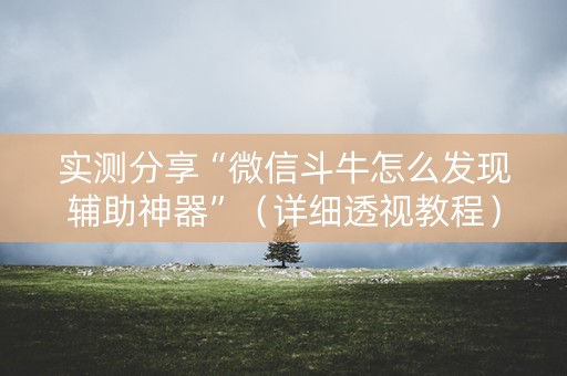 实测分享“微信斗牛怎么发现辅助神器”（详细透视教程）-哔哩哔哩
