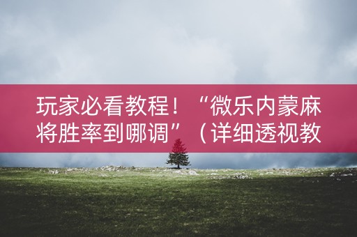 玩家必看教程！“微乐内蒙麻将胜率到哪调”（详细透视教程）-哔哩哔哩
