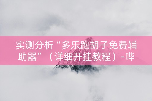 实测分析“多乐跑胡子免费辅助器”（详细开挂教程）-哔哩哔哩