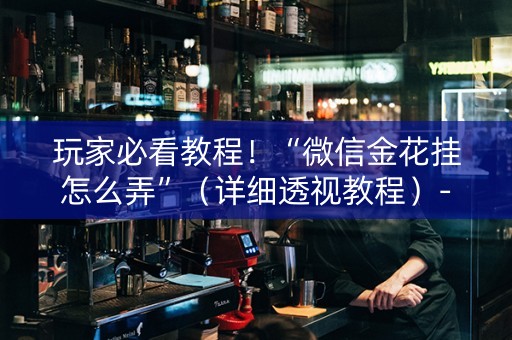 玩家必看教程！“微信金花挂怎么弄”（详细透视教程）-哔哩哔哩