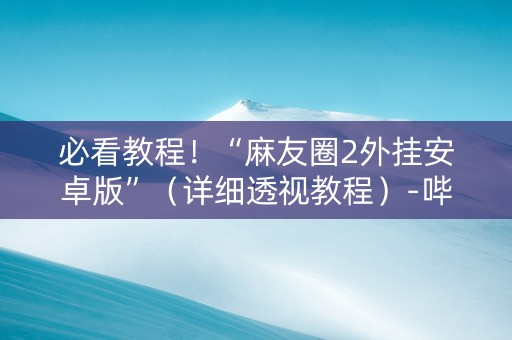 必看教程！“麻友圈2外挂安卓版”（详细透视教程）-哔哩哔哩