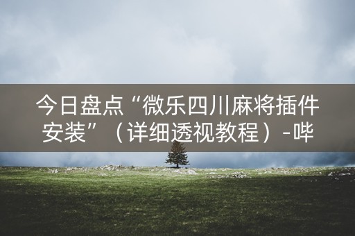 今日盘点“微乐四川麻将插件安装”（详细透视教程）-哔哩哔哩
