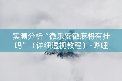 实测分析“微乐安徽麻将有挂吗”（详细透视教程）-哔哩哔哩