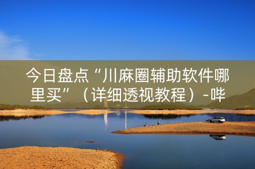 今日盘点“川麻圈辅助软件哪里买”（详细透视教程）-哔哩哔哩