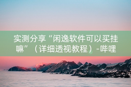 实测分享“闲逸软件可以买挂嘛”（详细透视教程）-哔哩哔哩