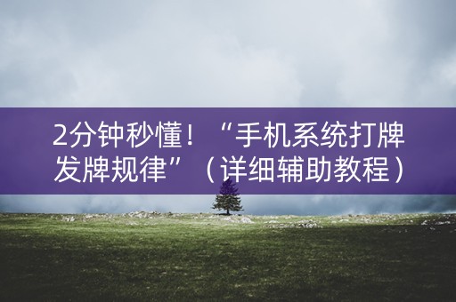 2分钟秒懂！“手机系统打牌发牌规律”（详细辅助教程）-哔哩哔哩