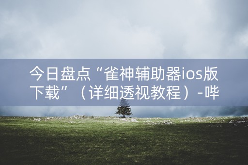 今日盘点“雀神辅助器ios版下载”（详细透视教程）-哔哩哔哩
