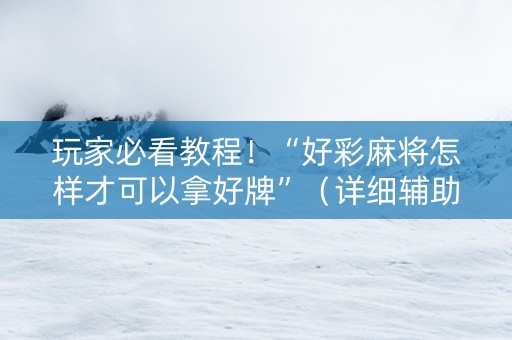 玩家必看教程！“好彩麻将怎样才可以拿好牌”（详细辅助教程）-哔哩哔哩