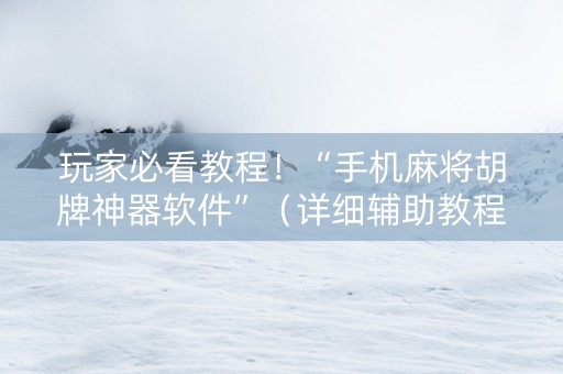 玩家必看教程！“手机麻将胡牌神器软件”（详细辅助教程）-哔哩哔哩