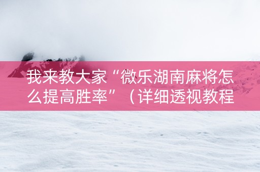 我来教大家“微乐湖南麻将怎么提高胜率”（详细透视教程）-哔哩哔哩