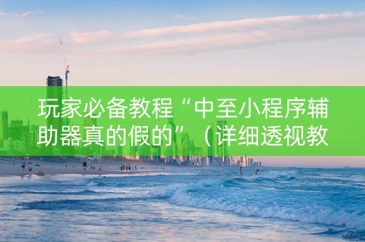玩家必备教程“中至小程序辅助器真的假的”（详细透视教程）-哔哩哔哩