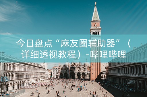 今日盘点“麻友圈辅助器”（详细透视教程）-哔哩哔哩