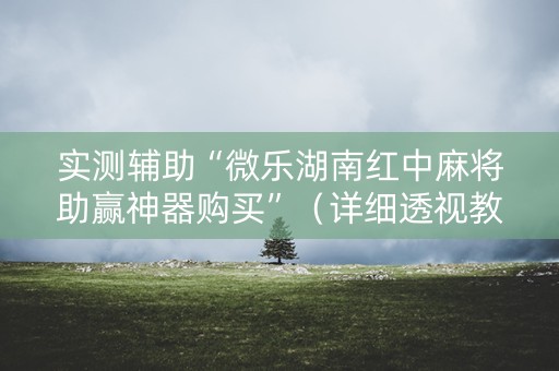 实测辅助“微乐湖南红中麻将助赢神器购买”（详细透视教程）-哔哩哔哩