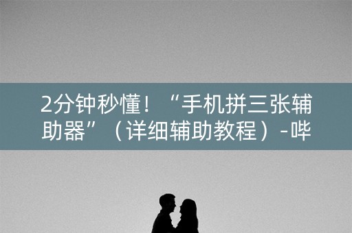2分钟秒懂！“手机拼三张辅助器”（详细辅助教程）-哔哩哔哩