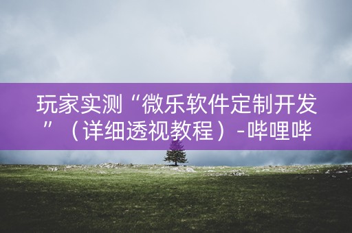 玩家实测“微乐软件定制开发”（详细透视教程）-哔哩哔哩
