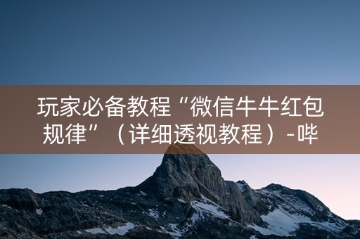 玩家必备教程“微信牛牛红包规律”（详细透视教程）-哔哩哔哩