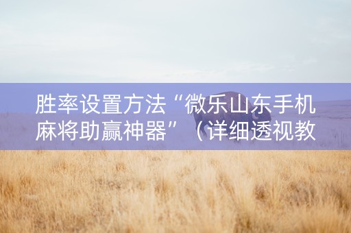 胜率设置方法“微乐山东手机麻将助赢神器”（详细透视教程）-哔哩哔哩