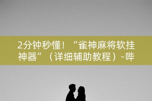 2分钟秒懂！“雀神麻将软挂神器”（详细辅助教程）-哔哩哔哩