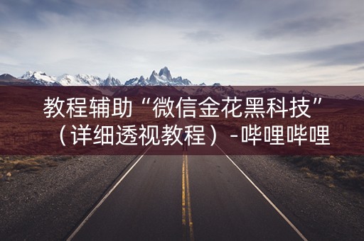 教程辅助“微信金花黑科技”（详细透视教程）-哔哩哔哩