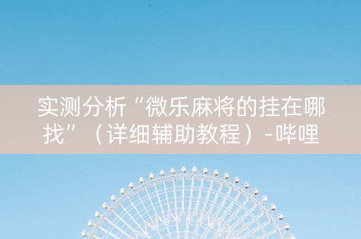 实测分析“微乐麻将的挂在哪找”（详细辅助教程）-哔哩哔哩